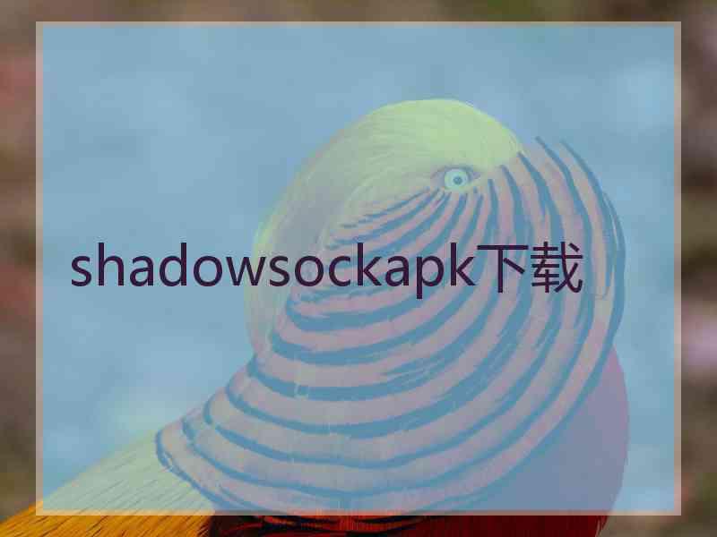 shadowsockapk下载