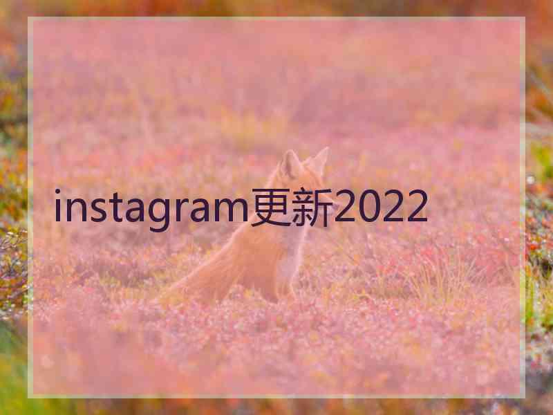 instagram更新2022