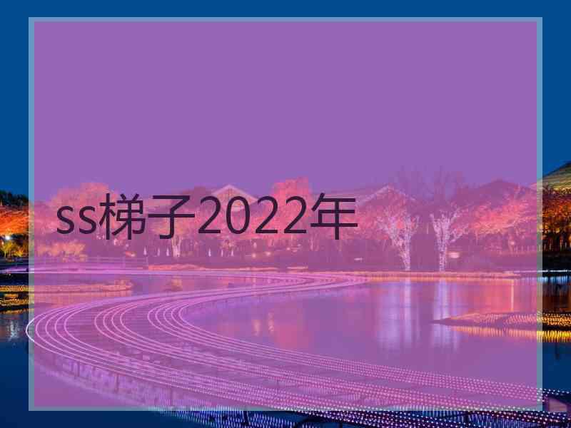 ss梯子2022年