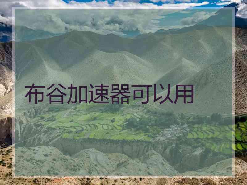 布谷加速器可以用