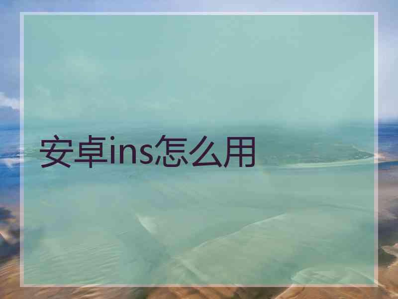 安卓ins怎么用