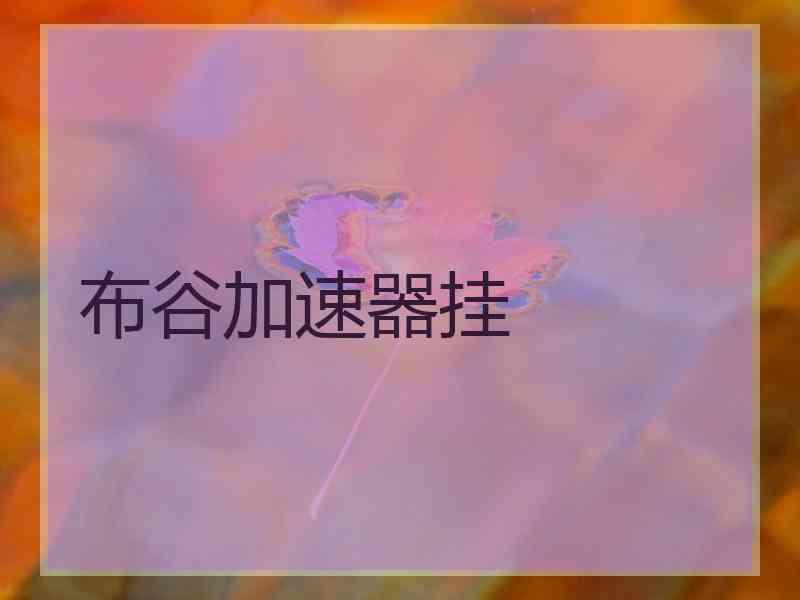 布谷加速器挂