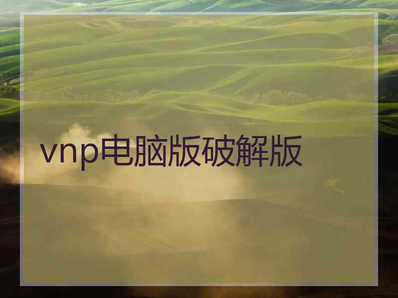 vnp电脑版破解版