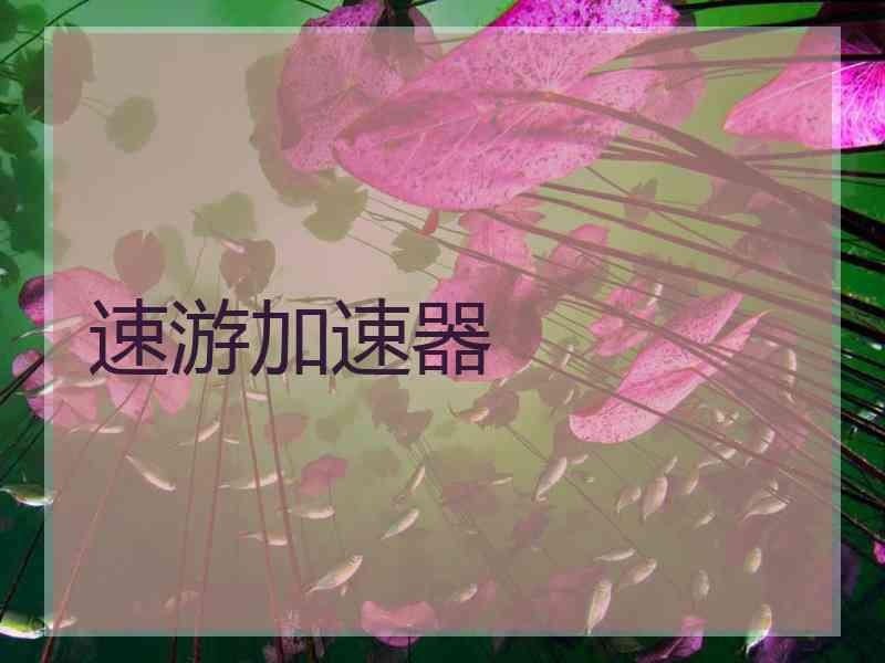 速游加速器