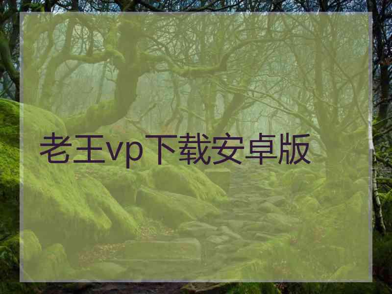 老王vp下载安卓版
