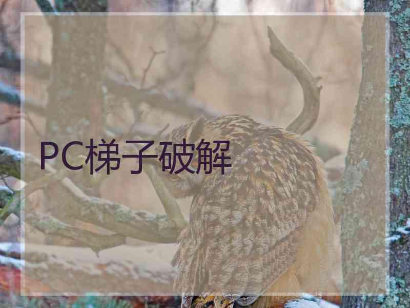 PC梯子破解