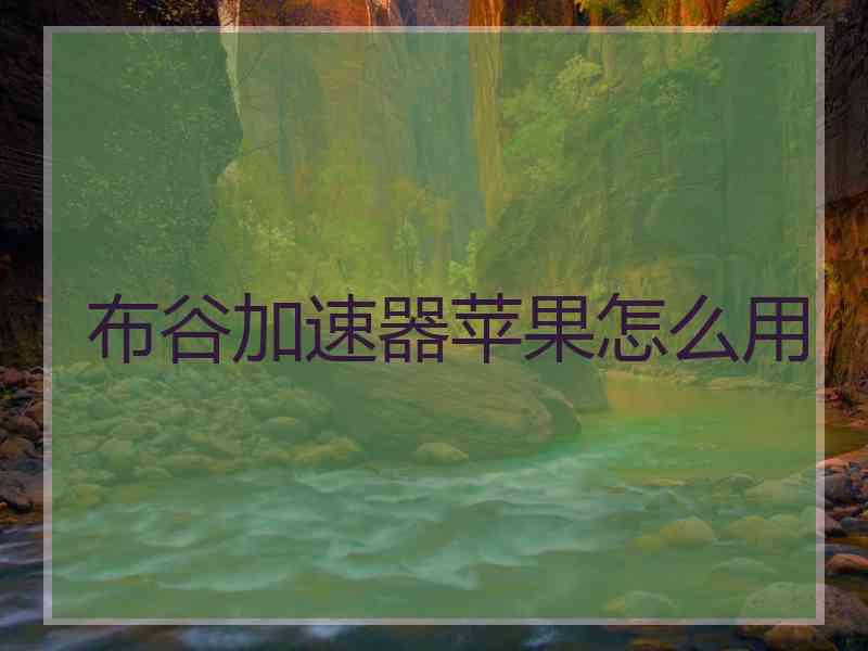 布谷加速器苹果怎么用