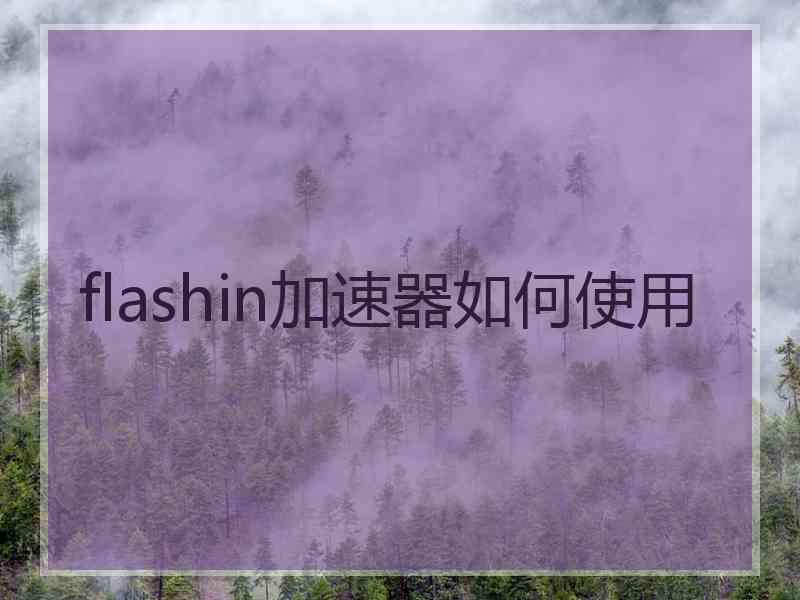 flashin加速器如何使用