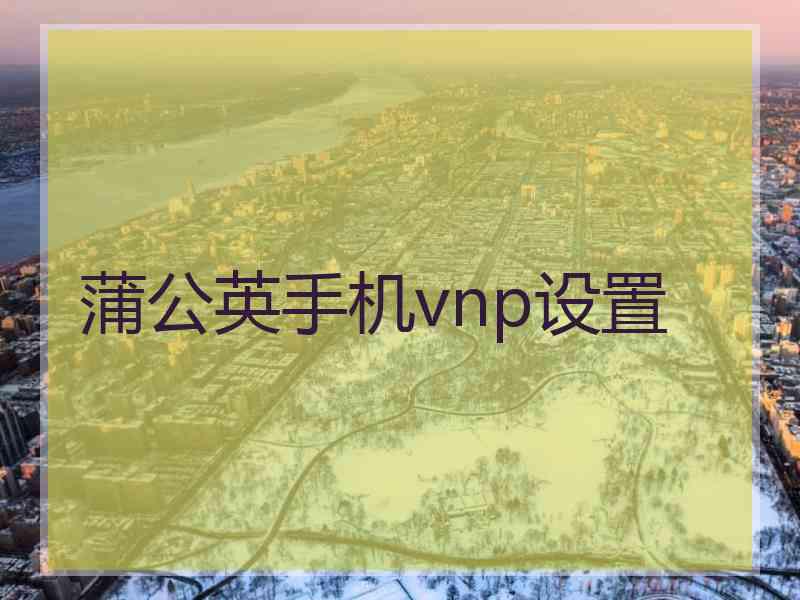 蒲公英手机vnp设置