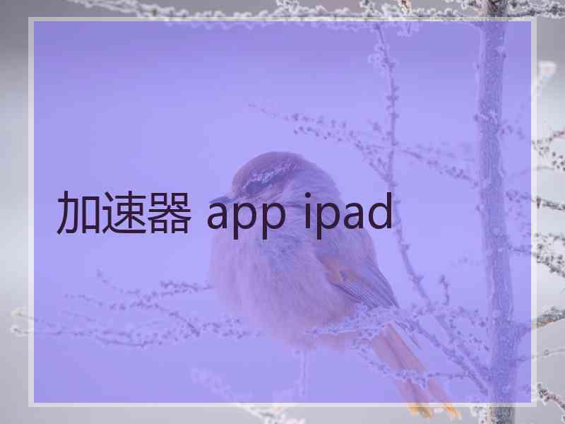 加速器 app ipad