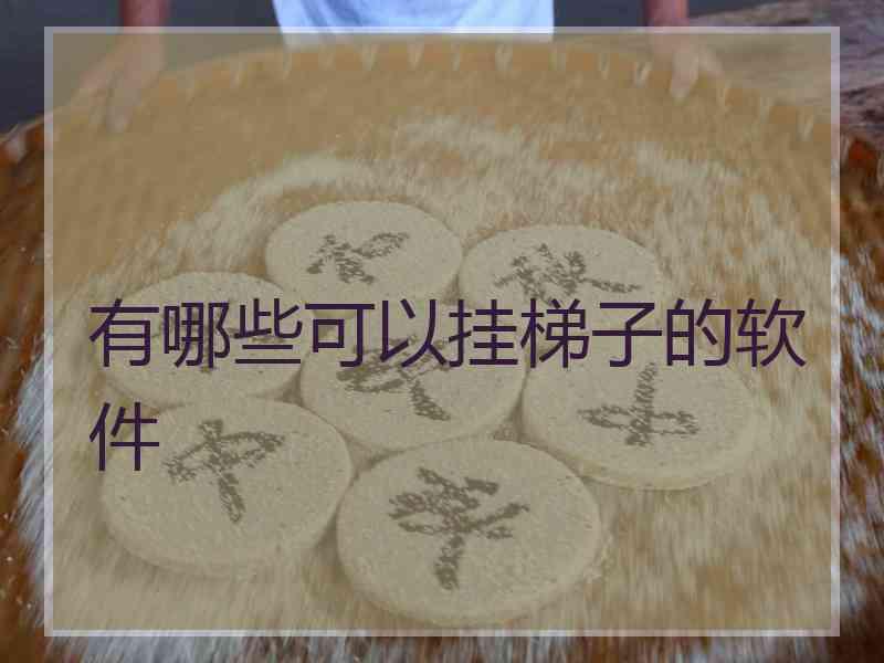 有哪些可以挂梯子的软件