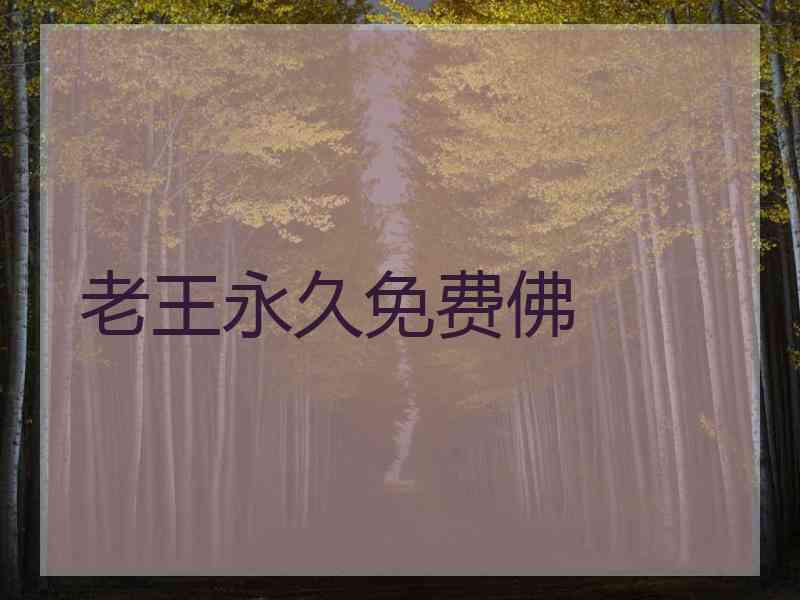老王永久免费佛