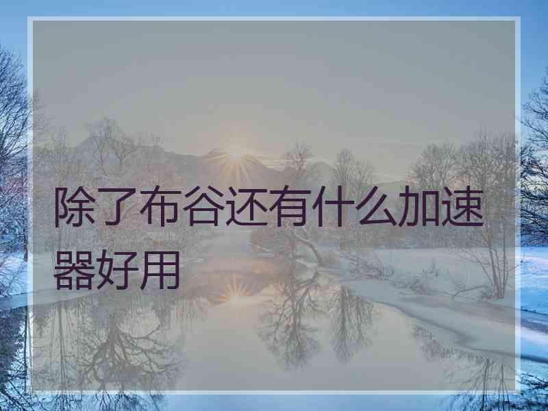 除了布谷还有什么加速器好用