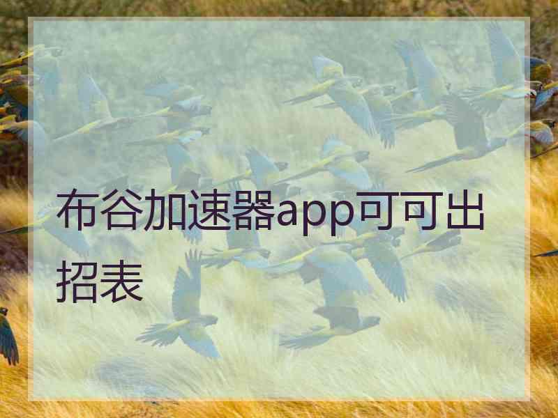 布谷加速器app可可出招表