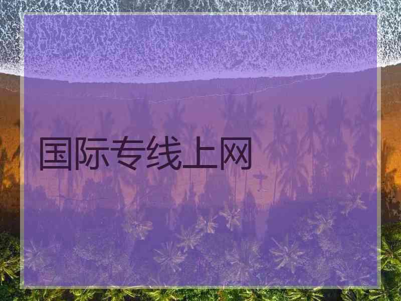 国际专线上网