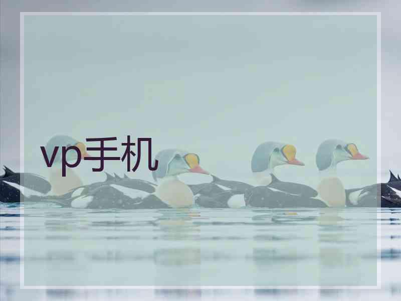 vp手机