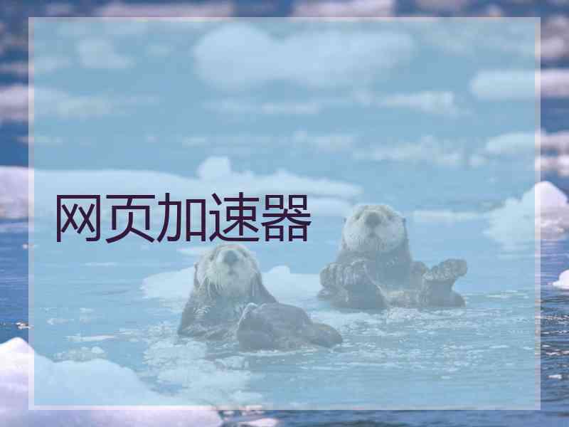 网页加速器