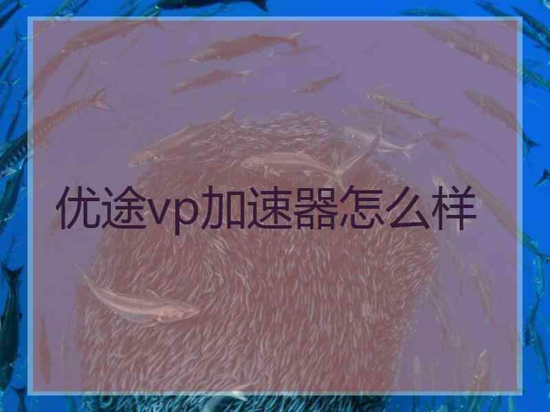 优途vp加速器怎么样