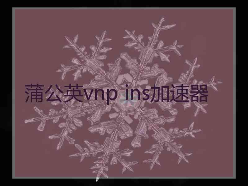 蒲公英vnp ins加速器