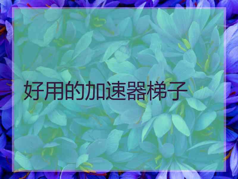 好用的加速器梯子