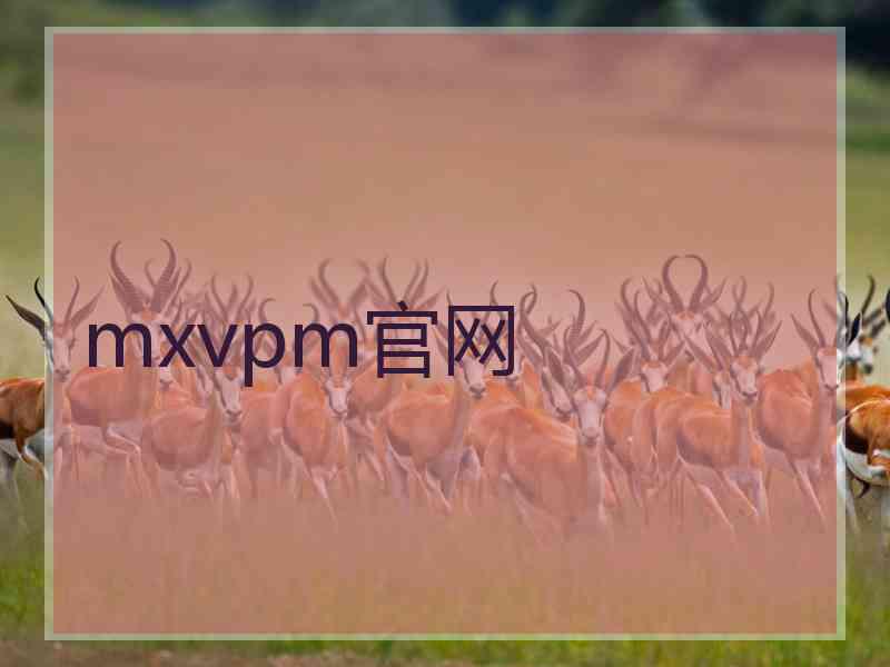 mxvpm官网