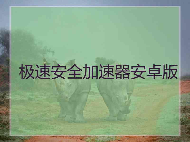 极速安全加速器安卓版