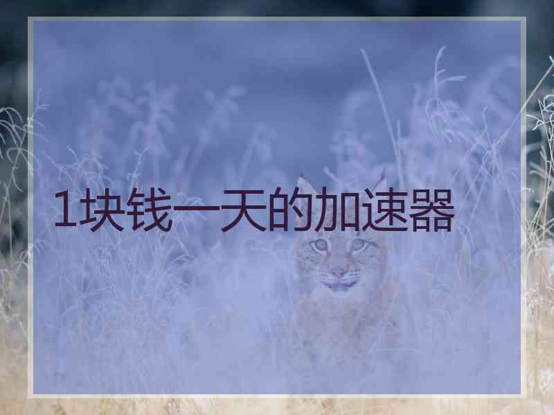 1块钱一天的加速器