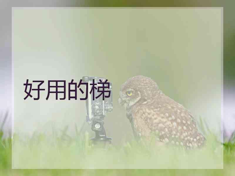 好用的梯