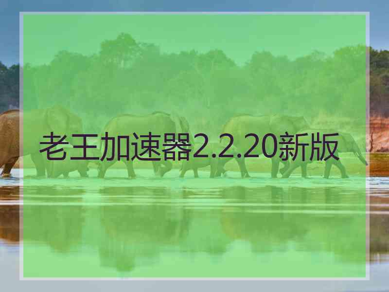 老王加速器2.2.20新版