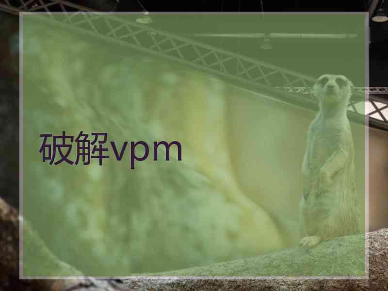 破解vpm