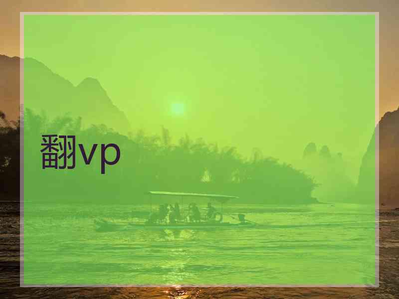 翻vp