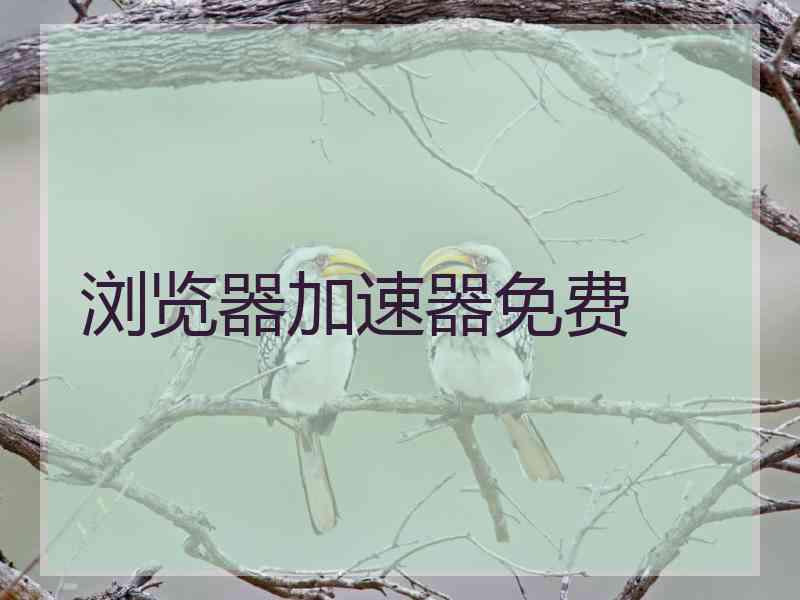 浏览器加速器免费