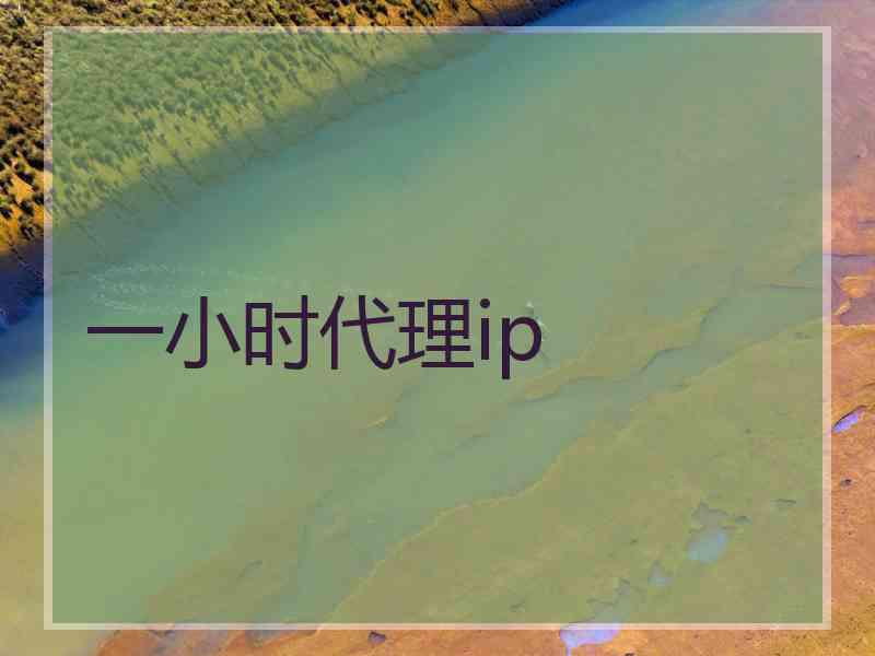 一小时代理ip