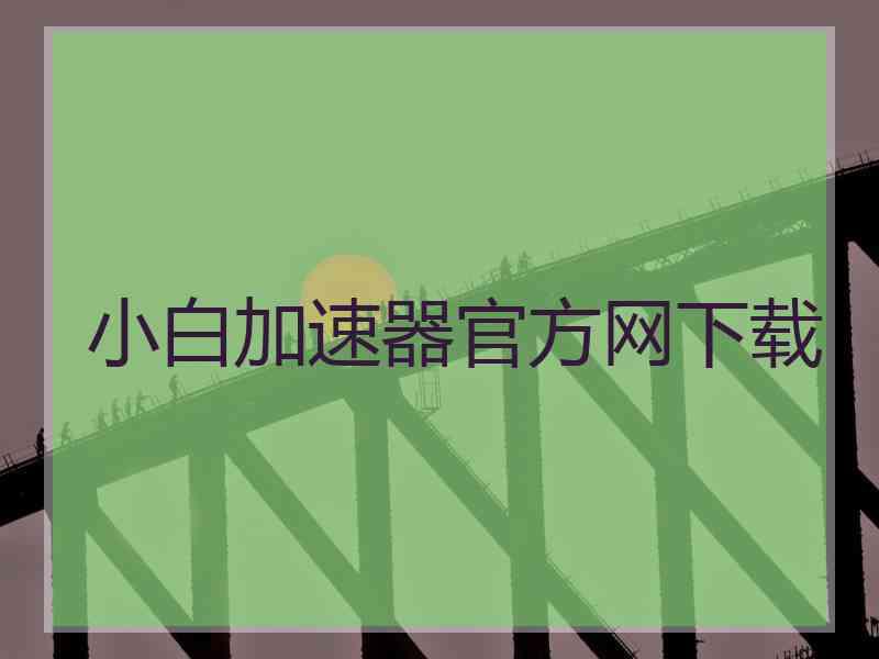 小白加速器官方网下载