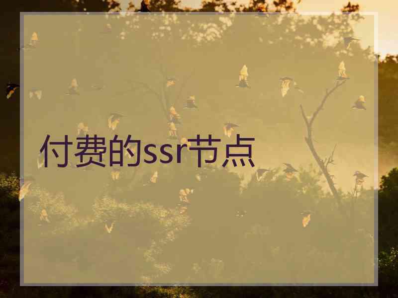 付费的ssr节点