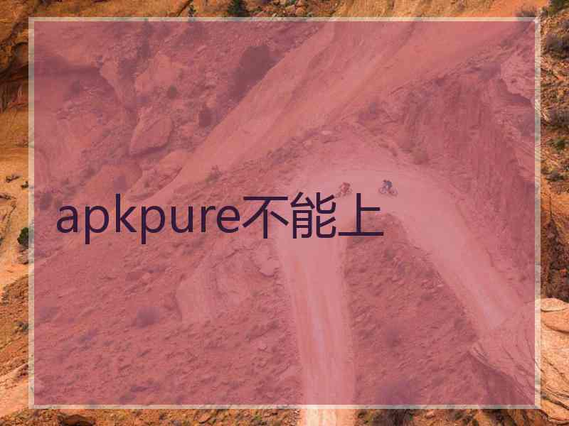 apkpure不能上