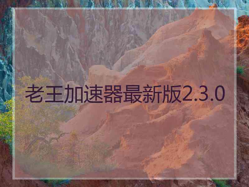 老王加速器最新版2.3.0