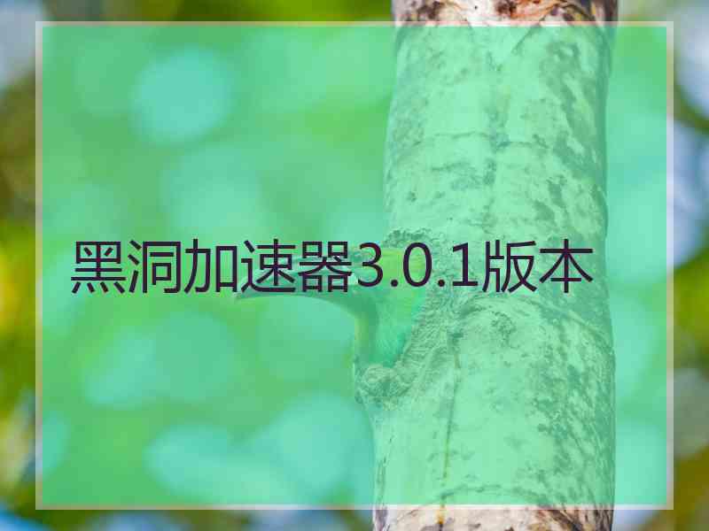 黑洞加速器3.0.1版本