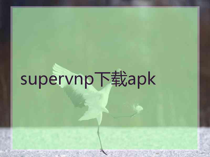 supervnp下载apk