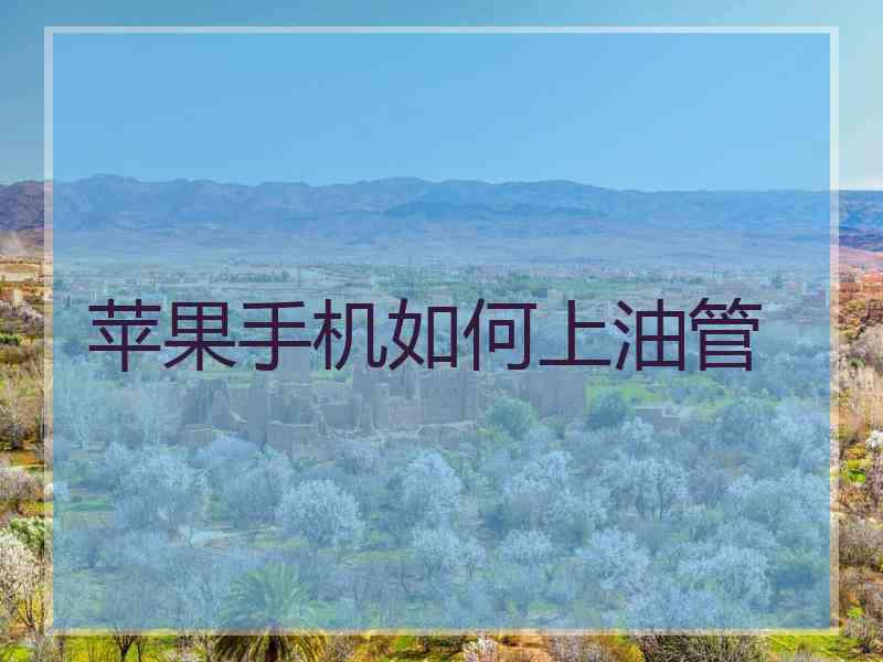 苹果手机如何上油管