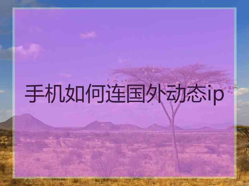 手机如何连国外动态ip