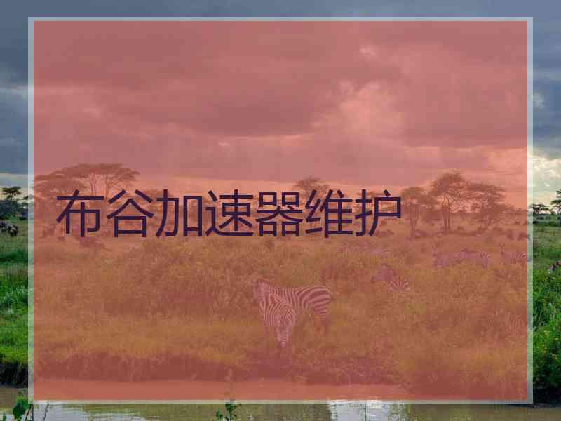 布谷加速器维护
