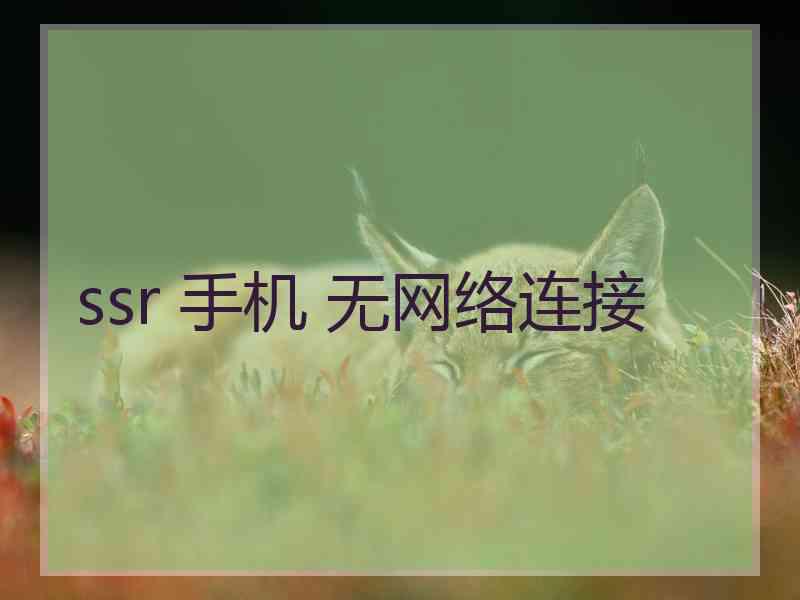 ssr 手机 无网络连接