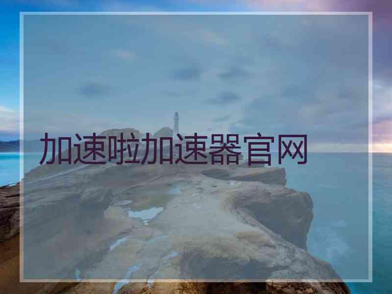 加速啦加速器官网