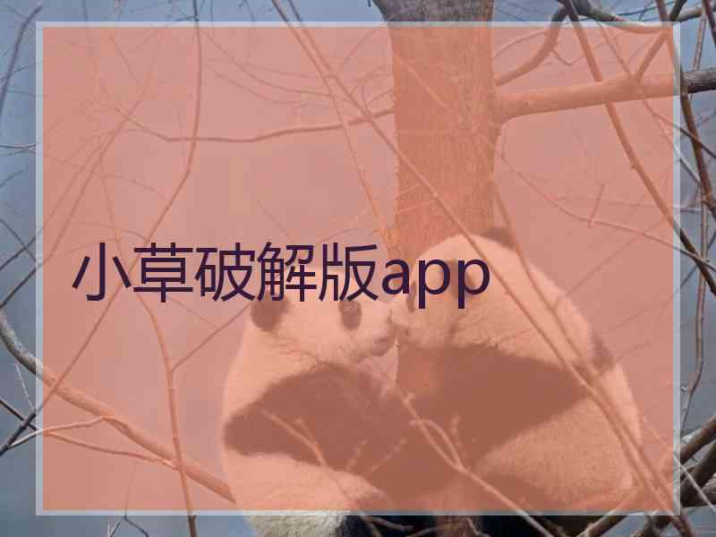 小草破解版app