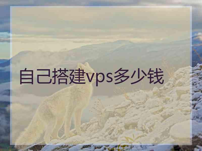 自己搭建vps多少钱