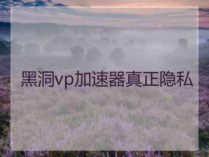 黑洞vp加速器真正隐私