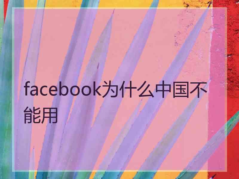 facebook为什么中国不能用
