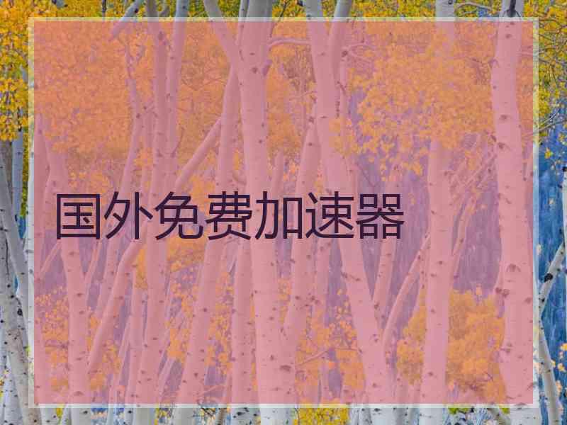 国外免费加速器