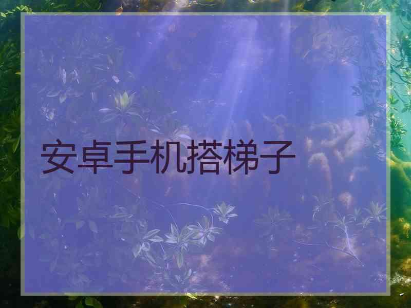 安卓手机搭梯子